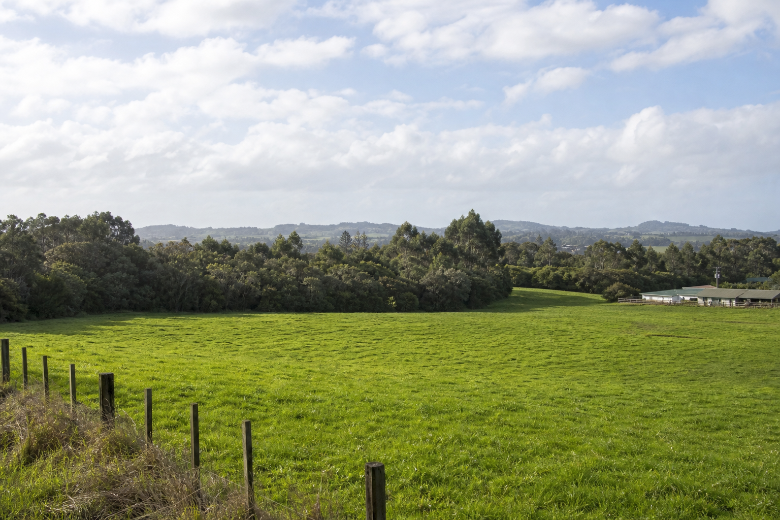 A Te Awamutu lifestyle-block section with Mount Pirongia in the background and a long native-planted boundary along the paddock edge